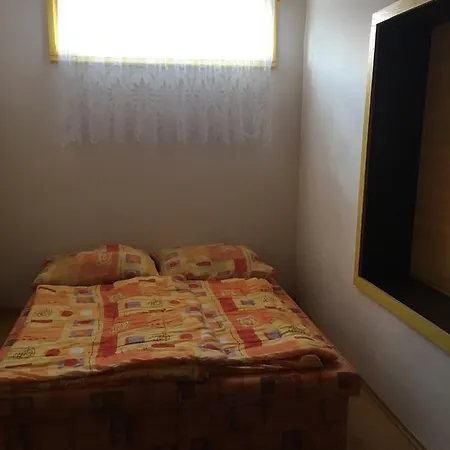 V Hostovskom Dome Flower *