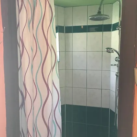 V Hostovskom Dome Flower Daire