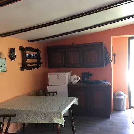 V Hostovskom Dome Flower *