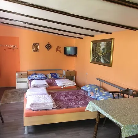 V Hostovskom Dome Flower