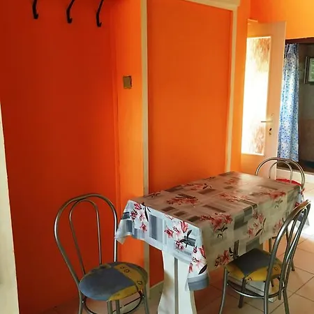 V Hostovskom Dome Flower