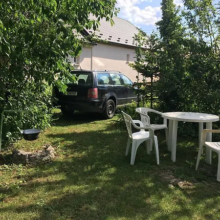 V Hostovskom Dome Flower Daire