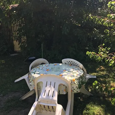 V Hostovskom Dome Flower Veľký Meder