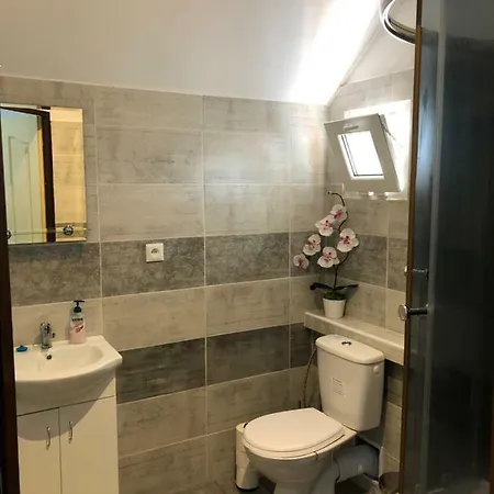 Daire V Hostovskom Dome Flower