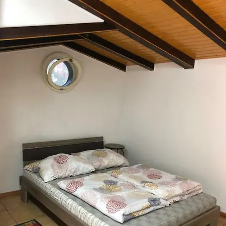 V Hostovskom Dome Flower