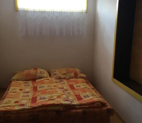 V Hostovskom Dome Flower *