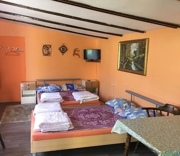 V Hostovskom Dome Flower