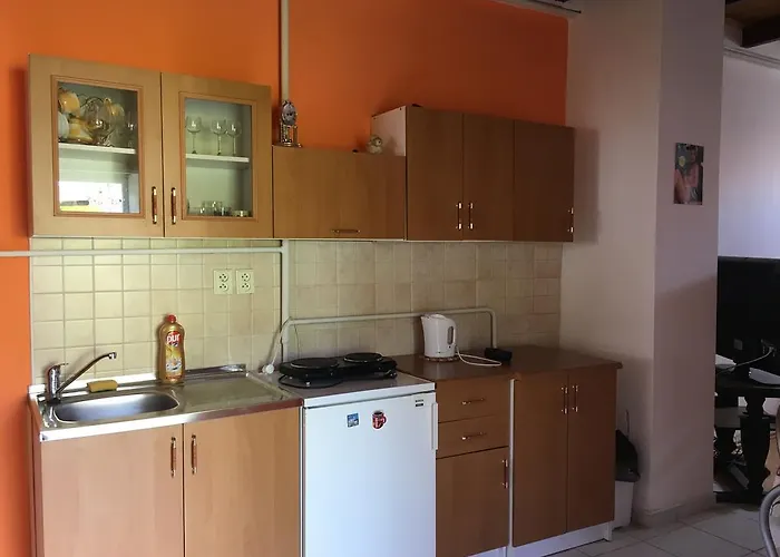 V Hostovskom Dome Flower Veľký Meder