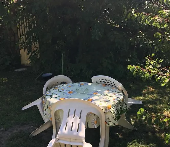 V Hostovskom Dome Flower Veľký Meder