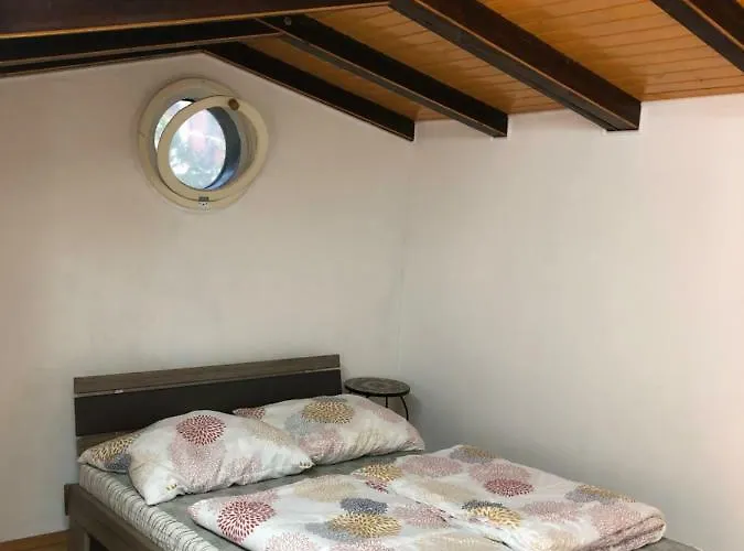 V Hostovskom Dome Flower